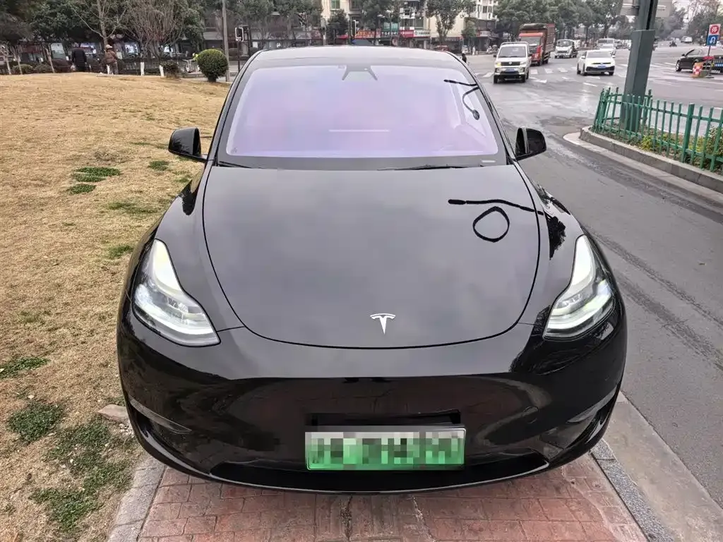 Tesla Model Y 2021 из CN, фото 8