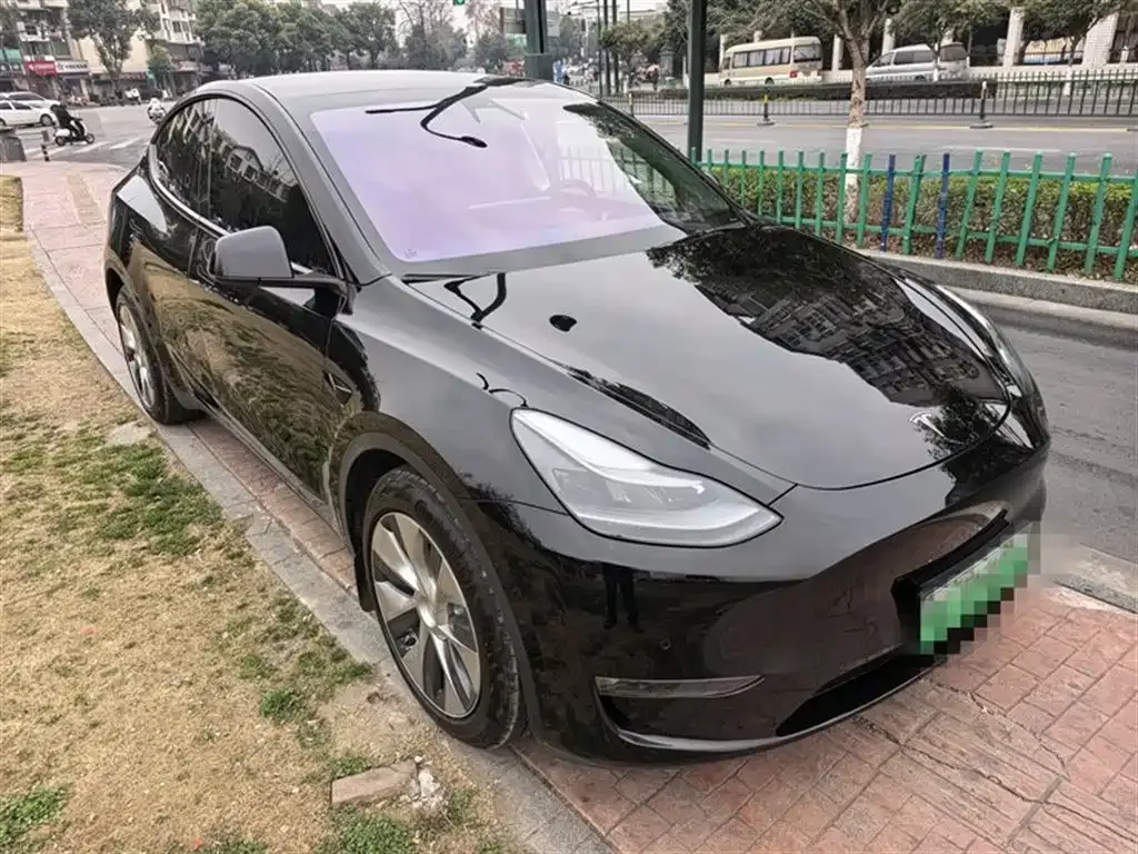 Tesla Model Y 2021 из CN, фото 6