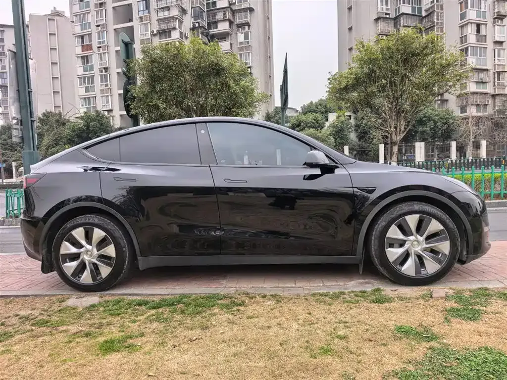 Tesla Model Y 2021 из CN, фото 10