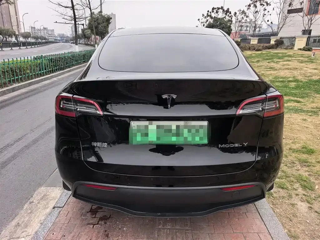 Tesla Model Y 2021 из CN, фото 9