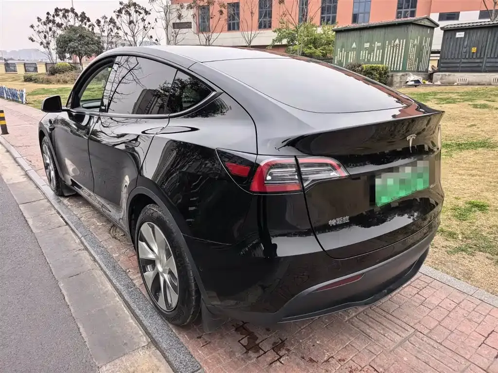 Tesla Model Y 2021 из CN, фото 7