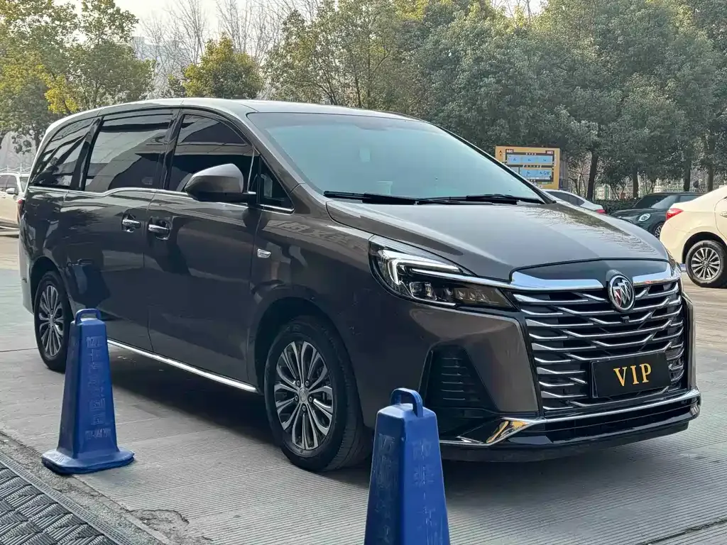 Buick GL8 2023 из CN, фото 8