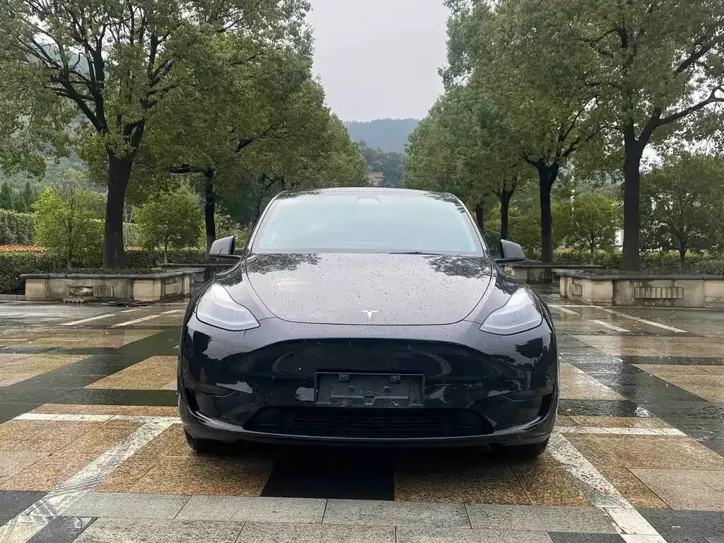 Tesla Model Y — фото 9