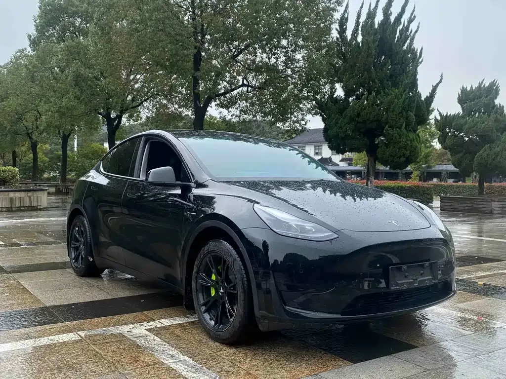 Tesla Model Y — фото 8