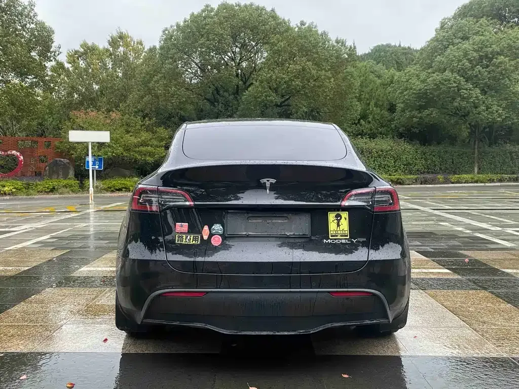 Tesla Model Y — фото 2