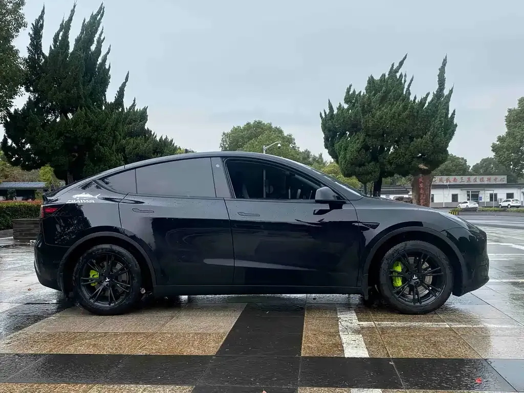 Tesla Model Y — фото 10