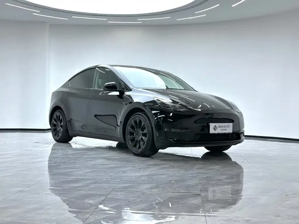 Tesla Model Y — фото 9