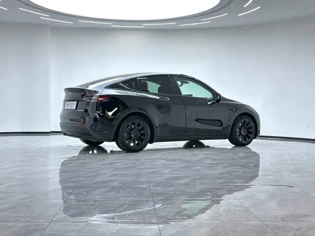 Tesla Model Y — фото 5