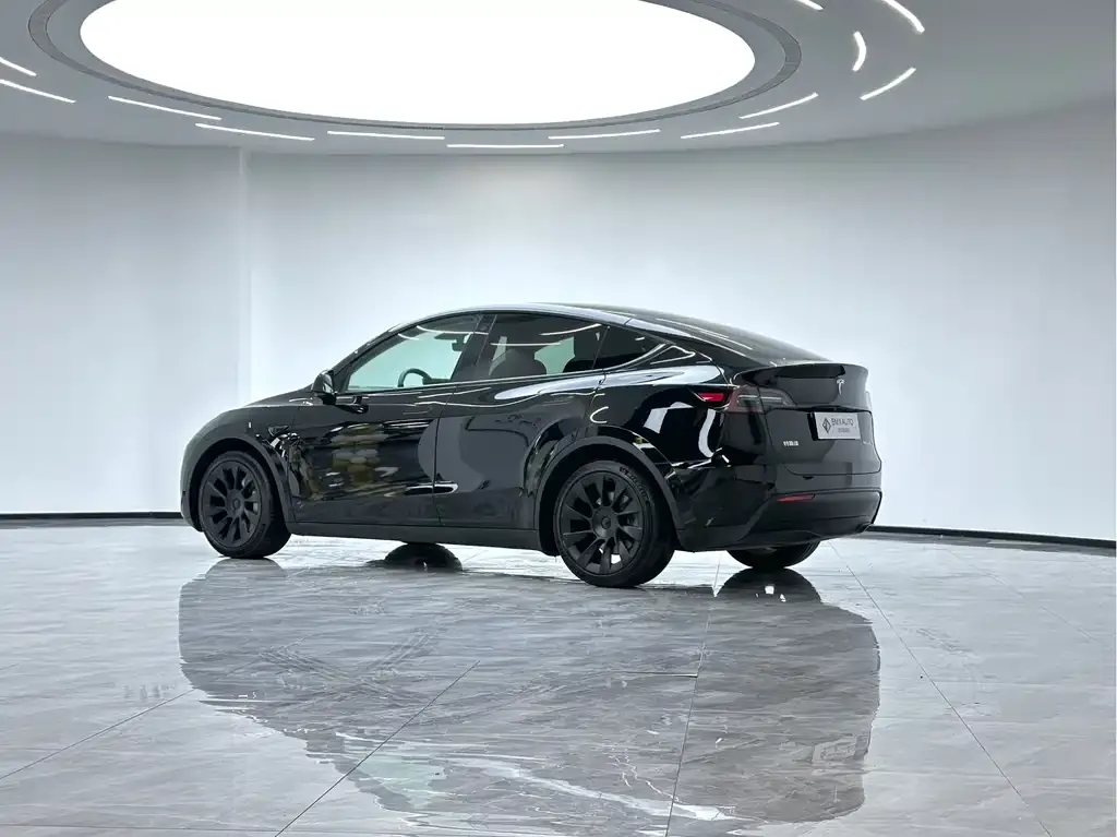 Tesla Model Y — фото 10