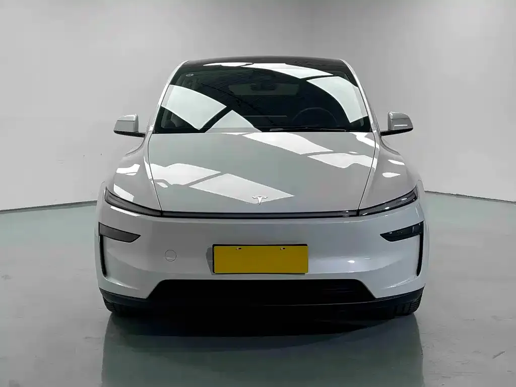 Tesla Model Y 2025 из CN, фото 4