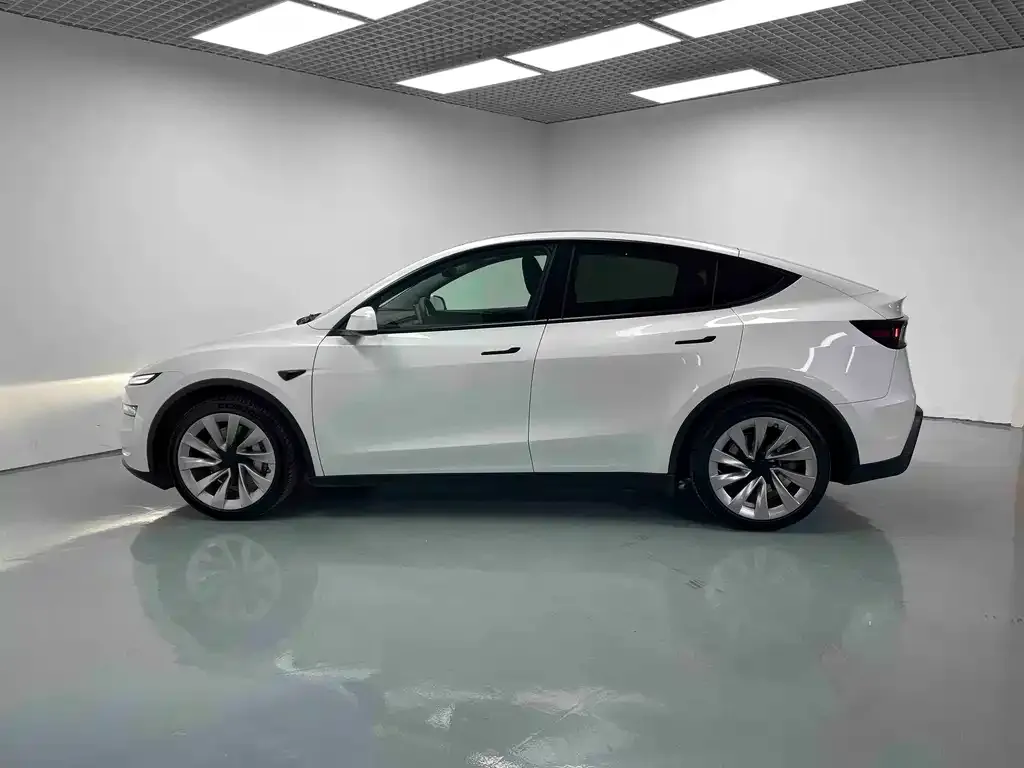 Tesla Model Y 2025 из CN, фото 2