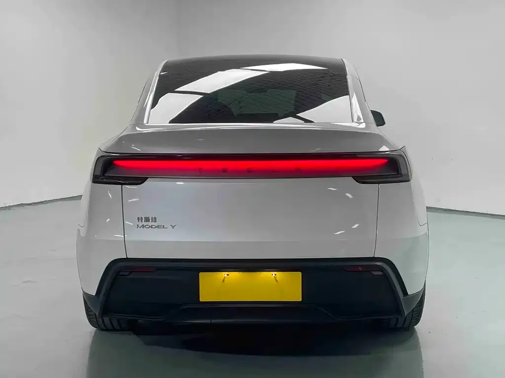 Tesla Model Y 2025 из CN, фото 6