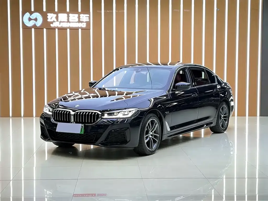BMW 5 Series New Energy 2022 из CN, фото 1