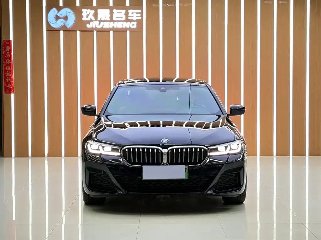BMW 5 Series New Energy 2022 из CN, фото 4