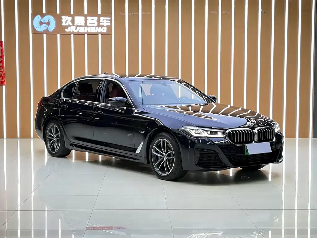 BMW 5 Series New Energy 2022 из CN, фото 2