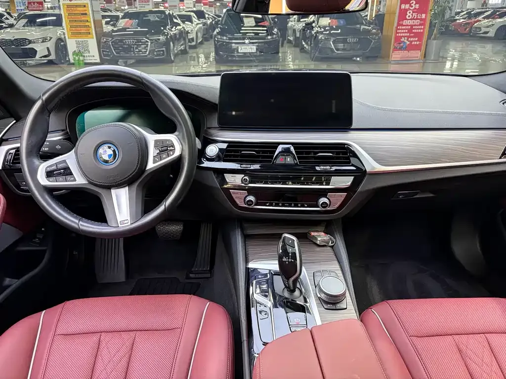 BMW 5 Series New Energy 2022 из CN, фото 10