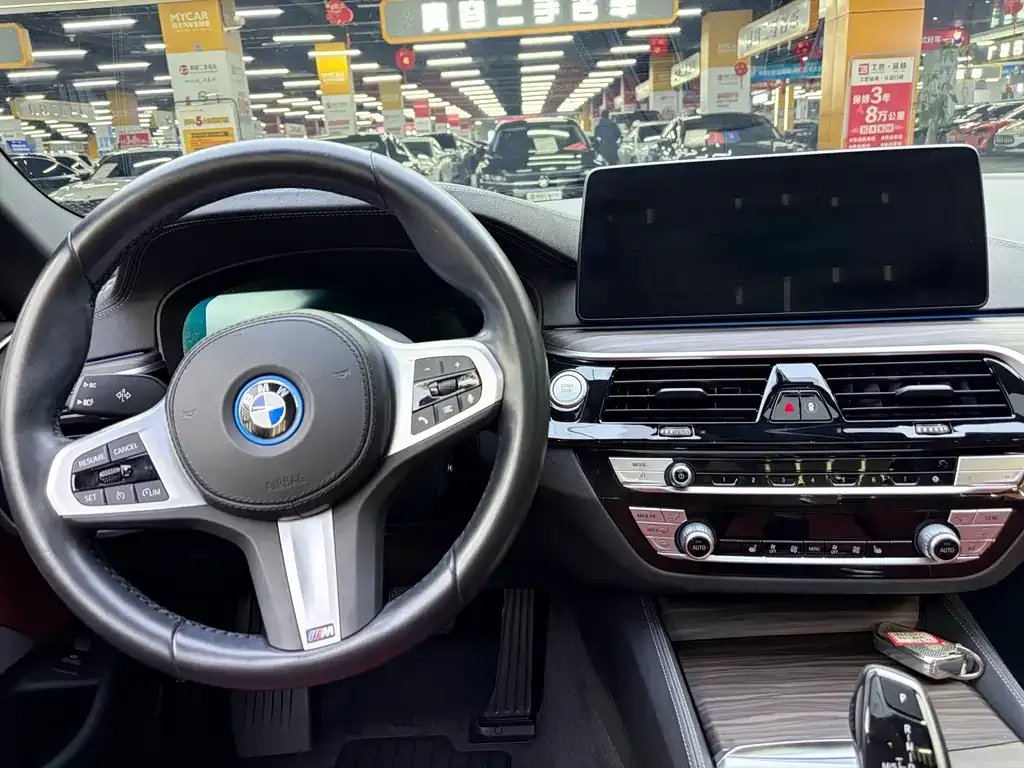 BMW 5 Series New Energy 2022 из CN, фото 8