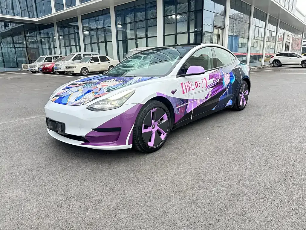 Tesla Model 3 2021 из CN, фото 1
