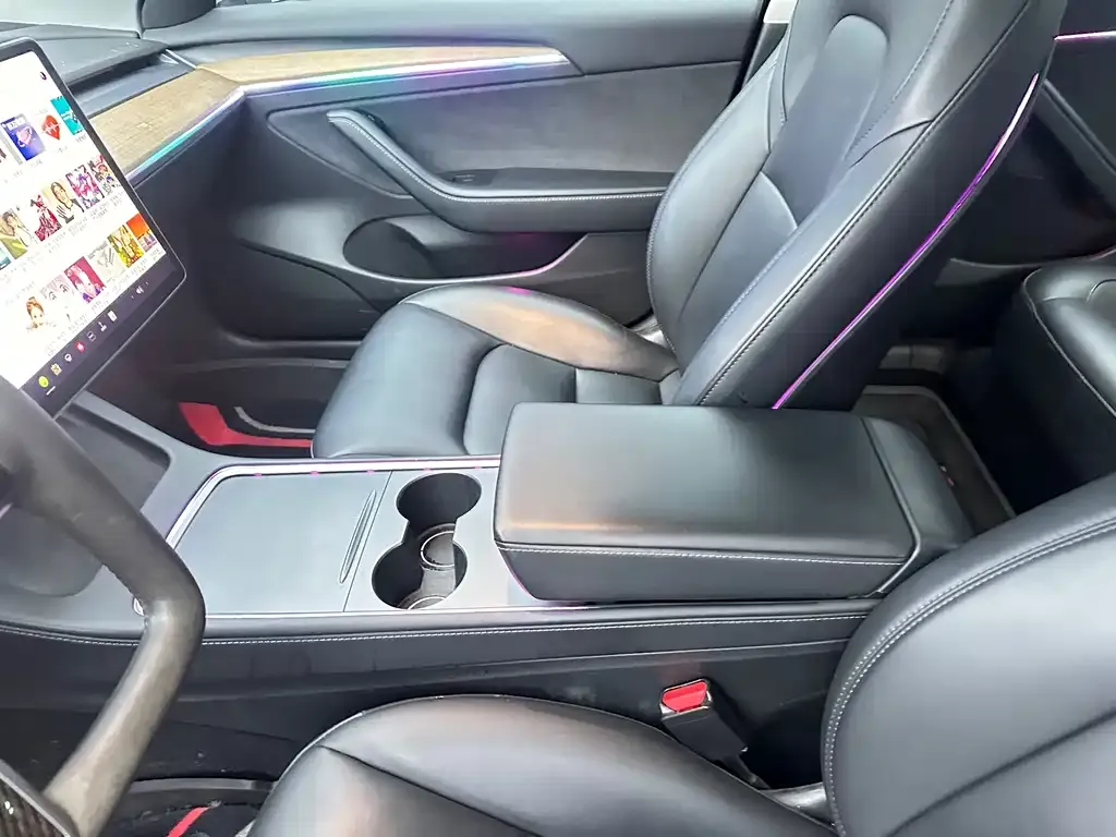 Tesla Model 3 2021 из CN, фото 4