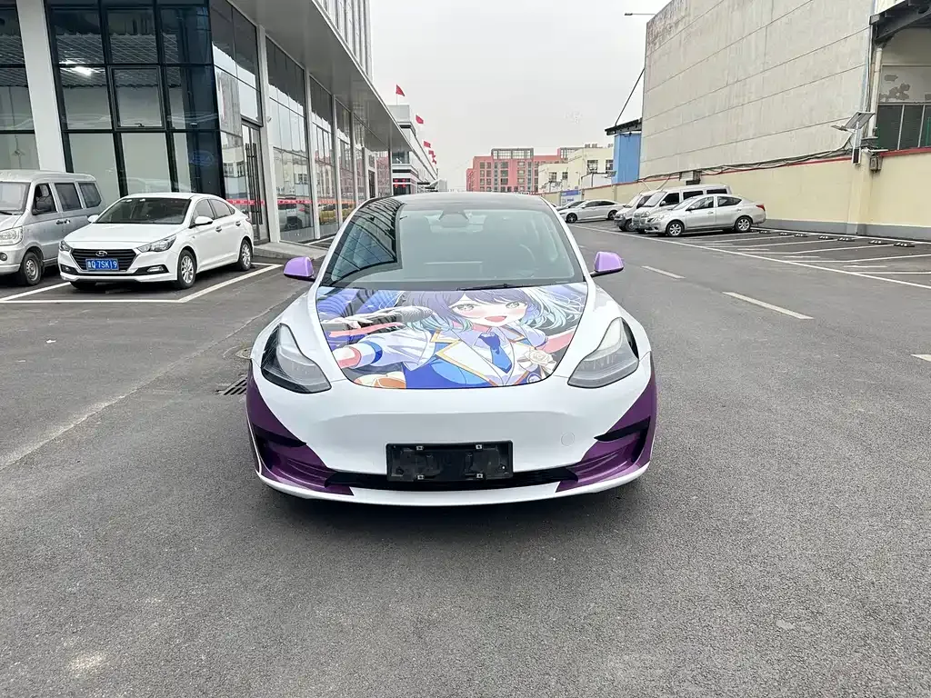Tesla Model 3 2021 из CN, фото 7