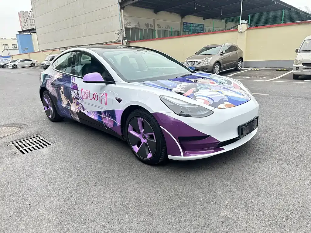 Tesla Model 3 2021 из CN, фото 10