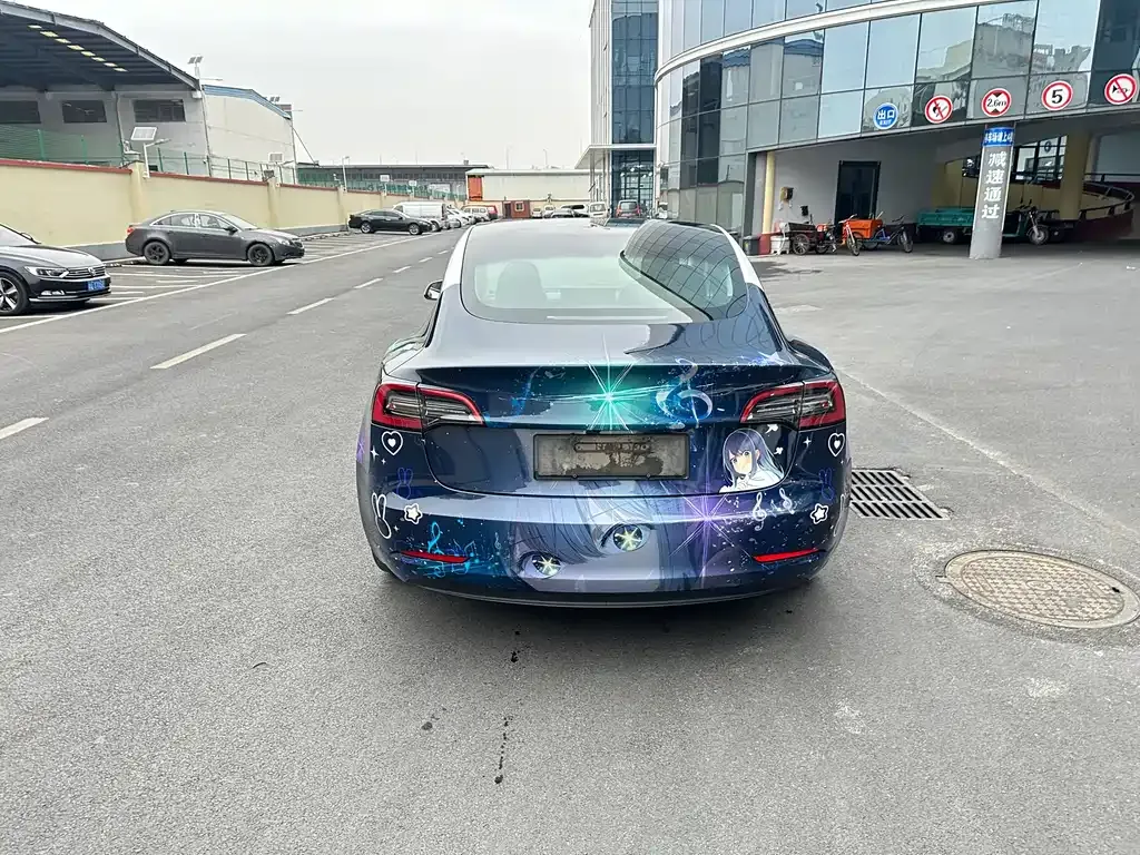 Tesla Model 3 2021 из CN, фото 3