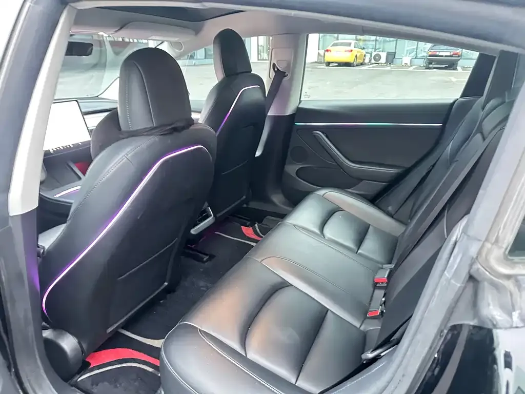 Tesla Model 3 2021 из CN, фото 5