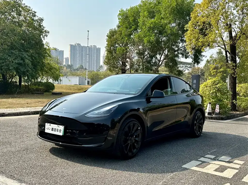 Tesla Model Y 2023 из CN, фото 1