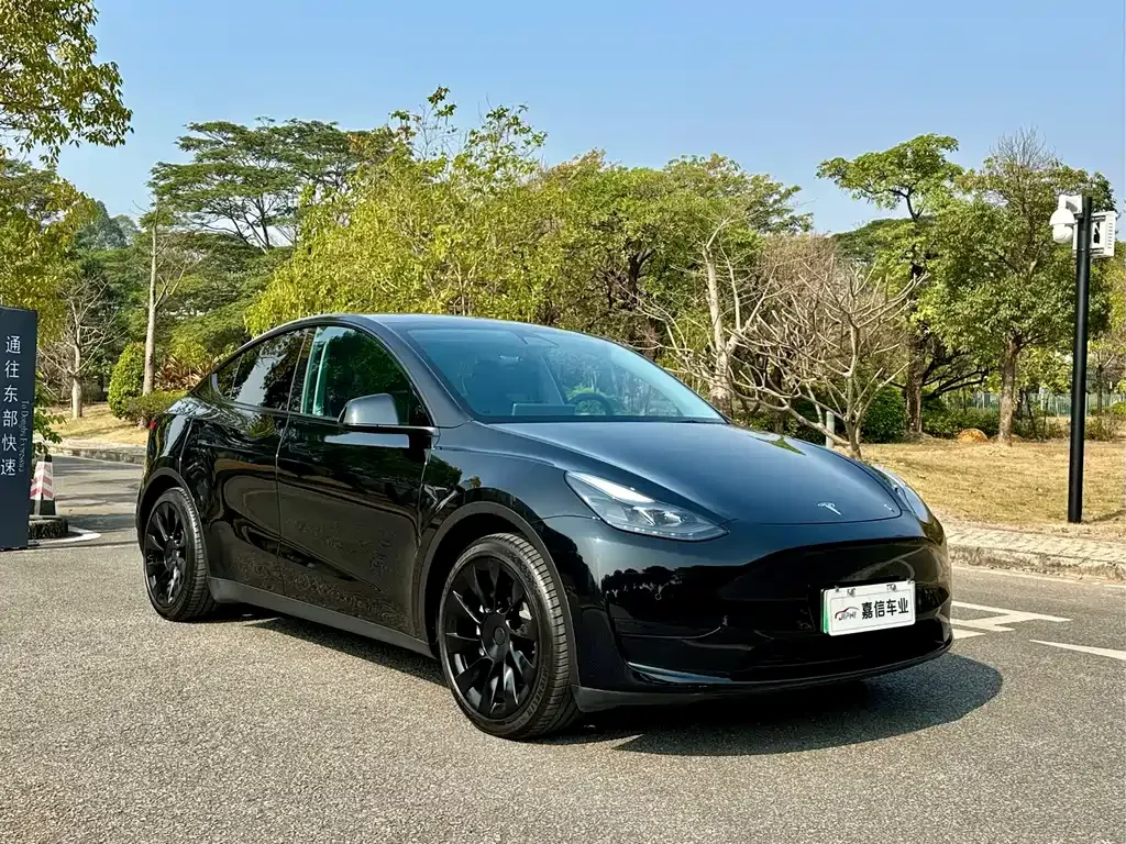 Tesla Model Y 2023 из CN, фото 4