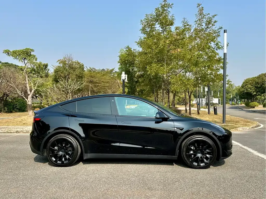 Tesla Model Y 2023 из CN, фото 8