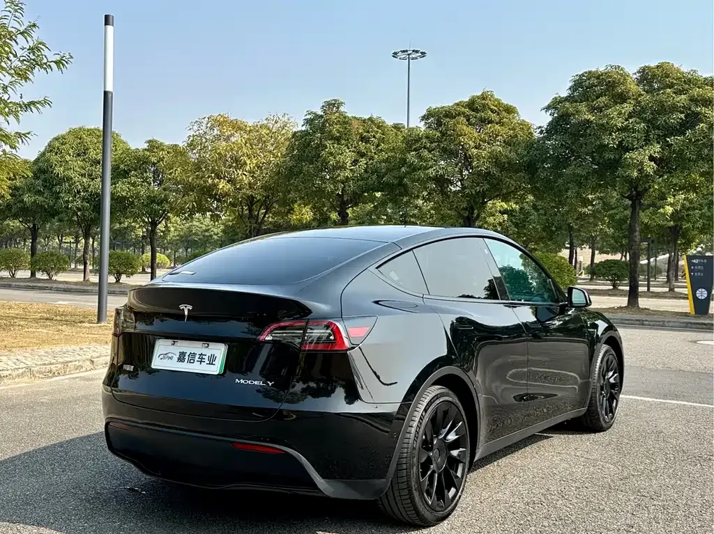 Tesla Model Y 2023 из CN, фото 6