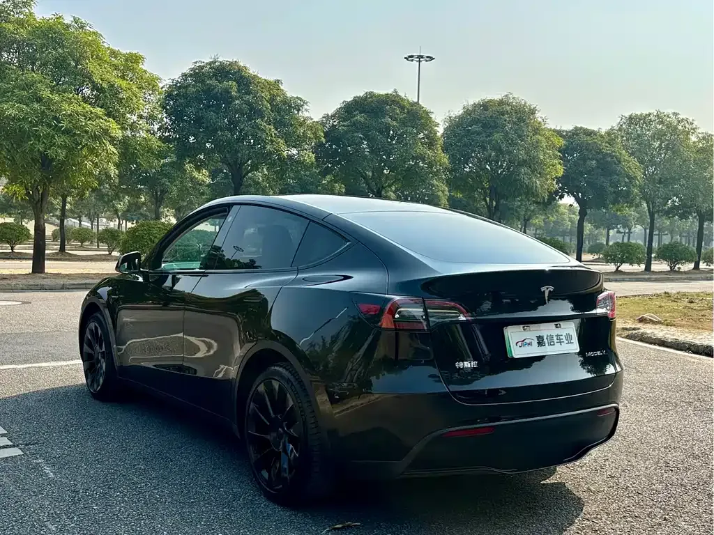 Tesla Model Y 2023 из CN, фото 9