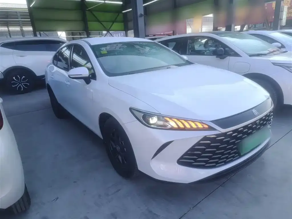 BYD Qin PLUS — фото 2