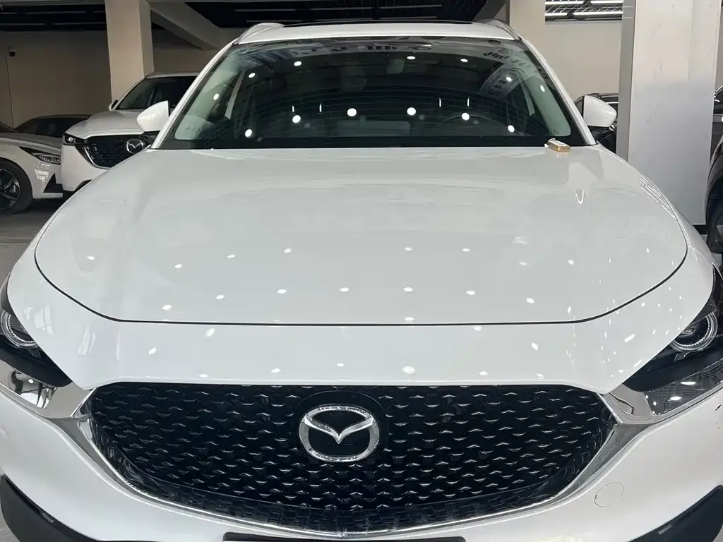 Mazda CX-30 2022 из CN, фото 6