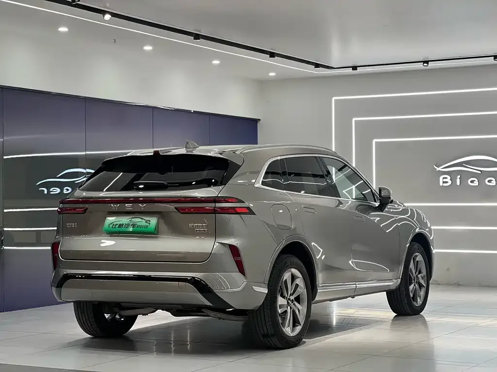 Wey Mocha New Energy 2024 из CN, фото 6