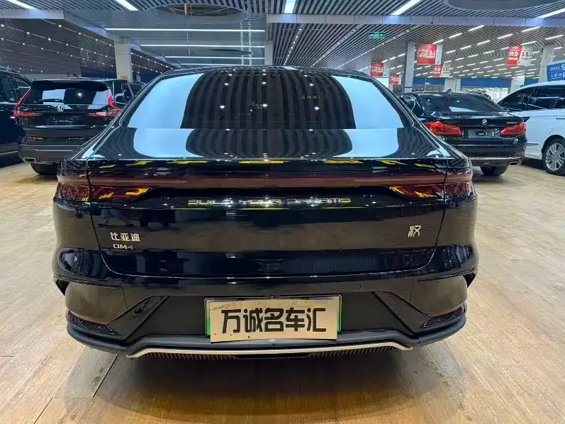 BYD Han — фото 9