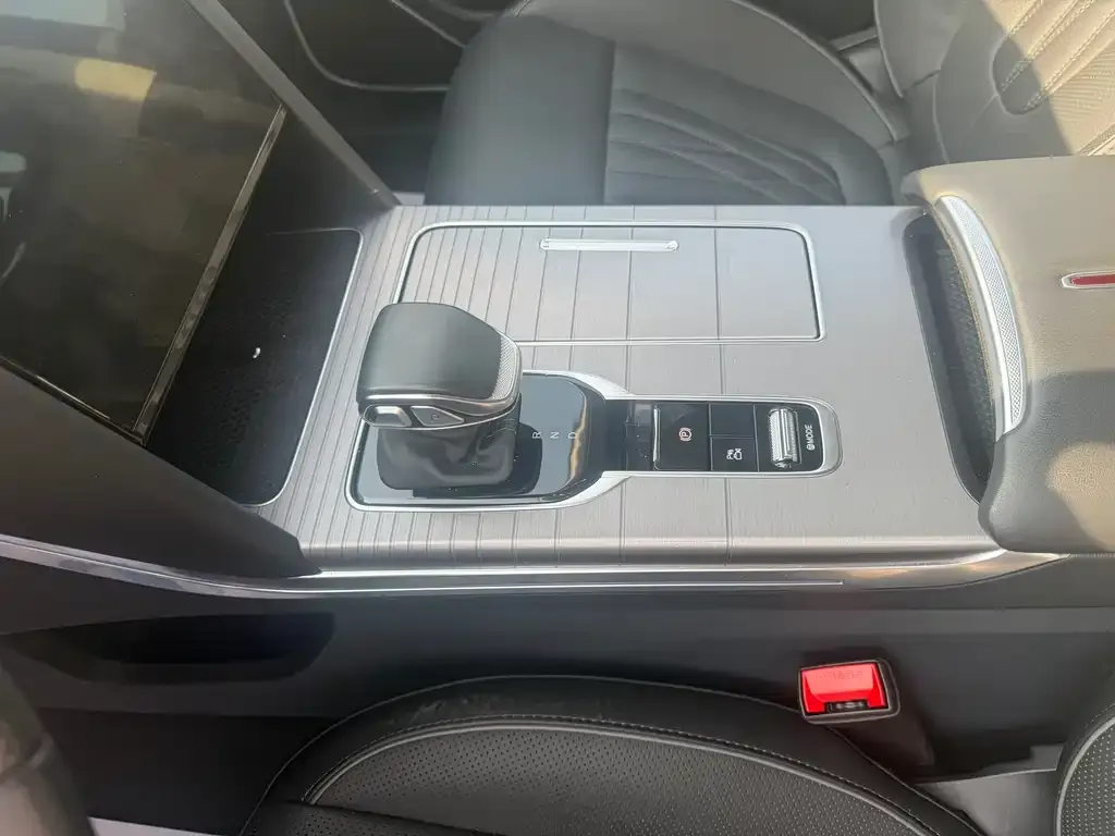 Hongqi HS7 PHEV 2024 из CN, фото 4