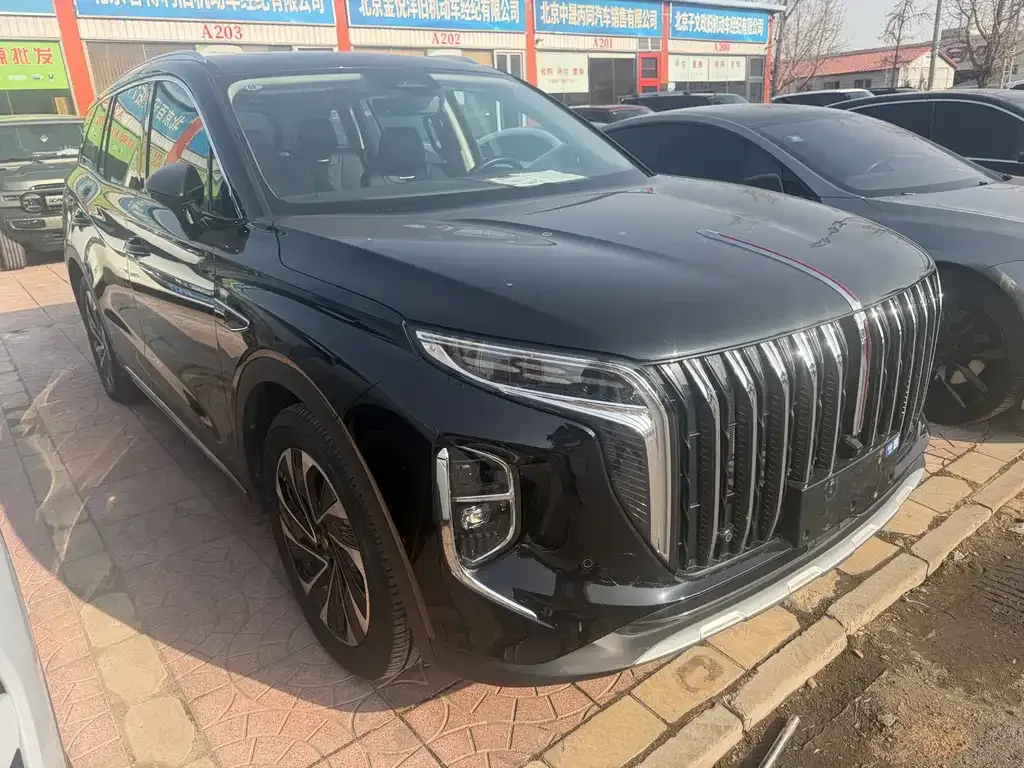 Hongqi HS7 PHEV 2024 из CN, фото 5