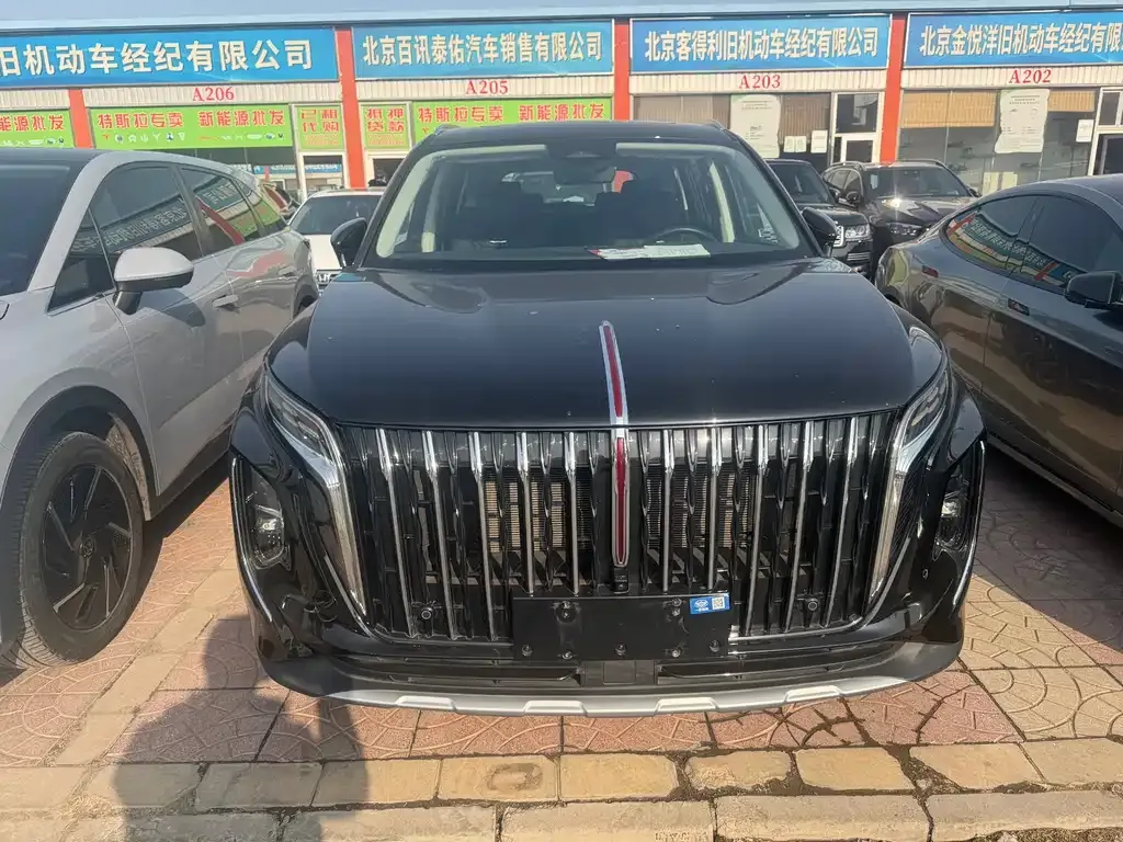 Hongqi HS7 PHEV 2024 из CN, фото 7