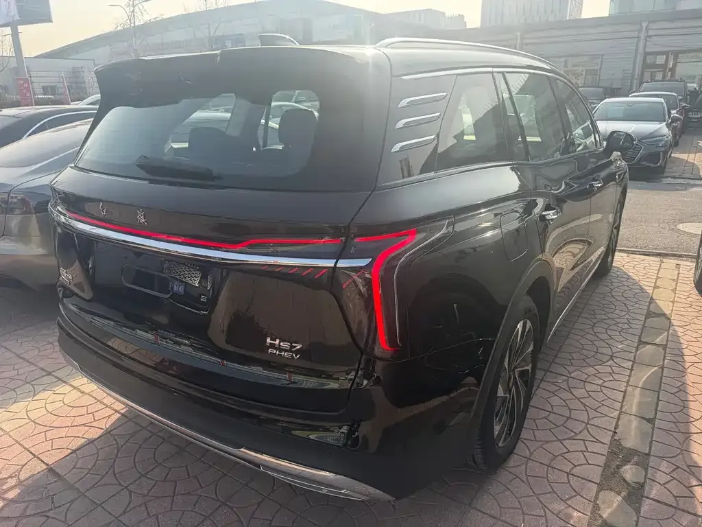 Hongqi HS7 PHEV 2024 из CN, фото 10