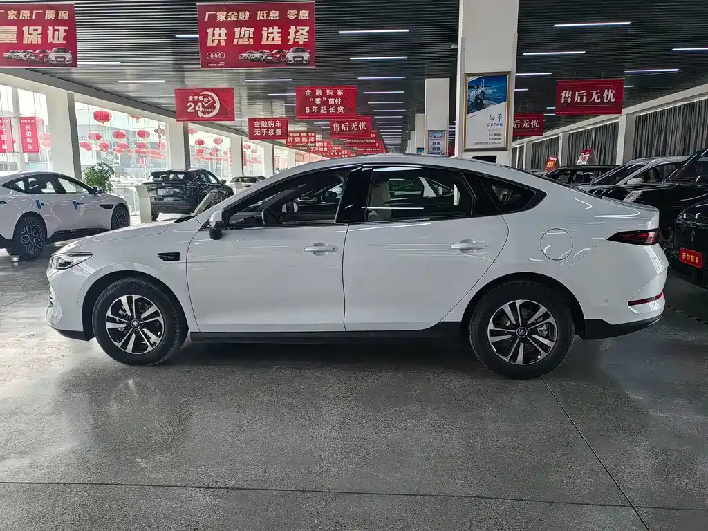 BYD Qin PLUS — фото 6