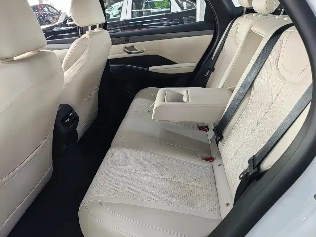 BYD Qin PLUS — фото 4