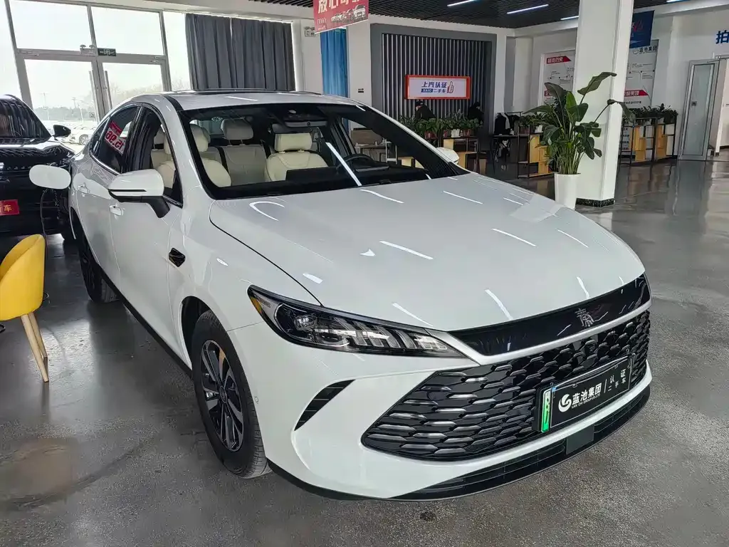 BYD Qin PLUS — фото 7