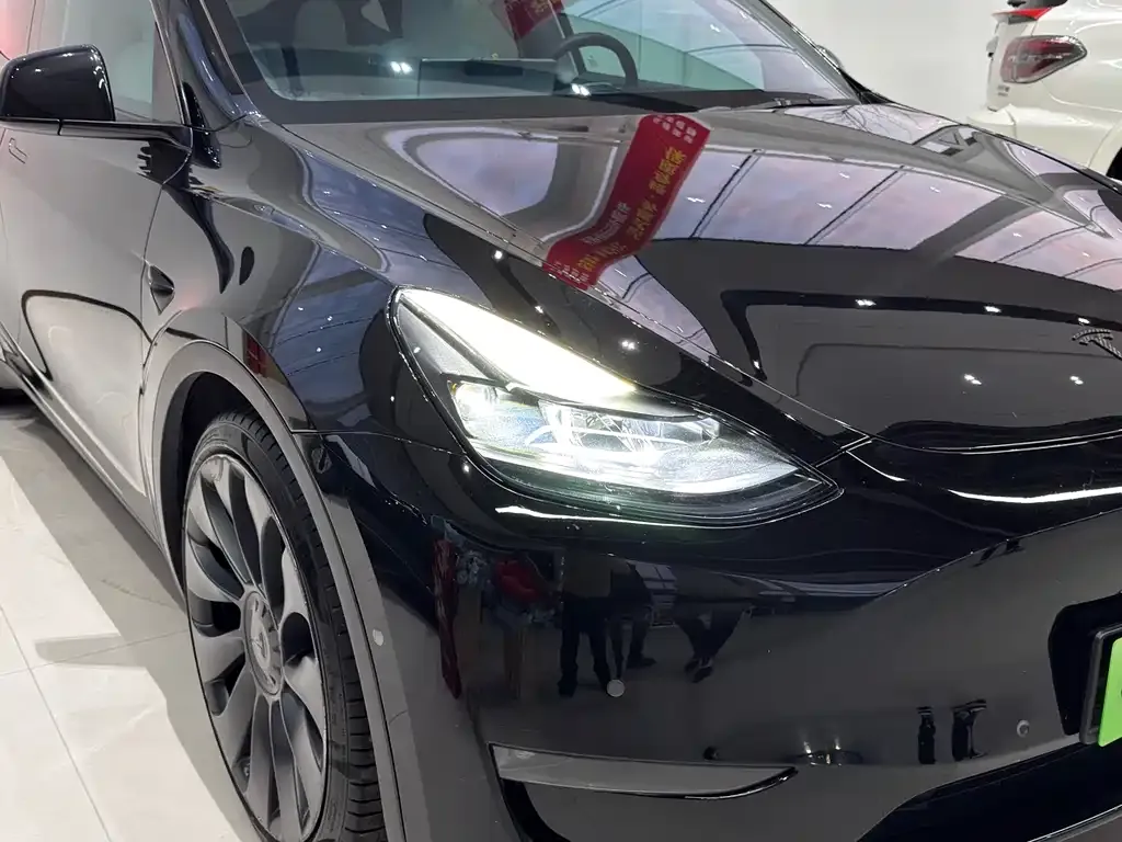 Tesla Model Y — фото 9