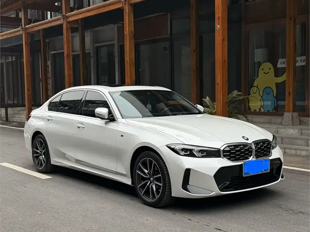BMW 3 Series 2024 из CN, фото 8