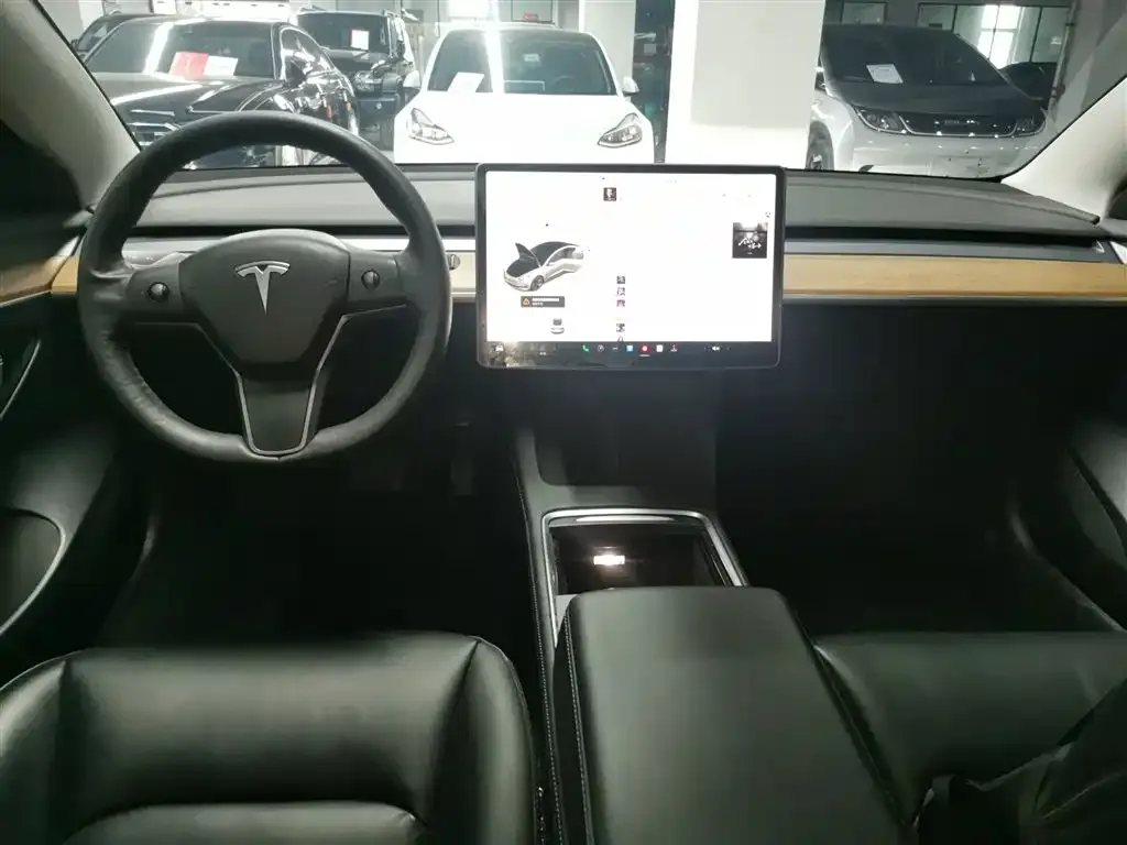 Tesla Model 3 2021 из CN, фото 4