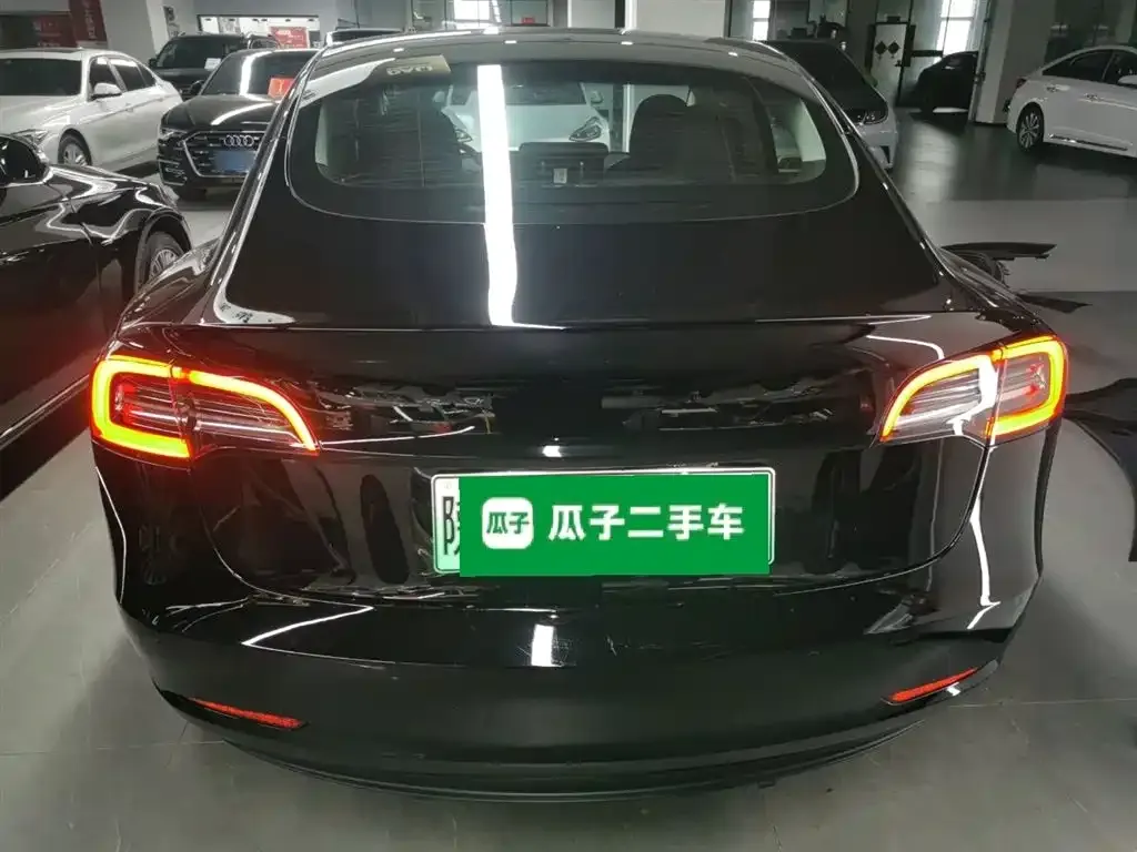 Tesla Model 3 2021 из CN, фото 9