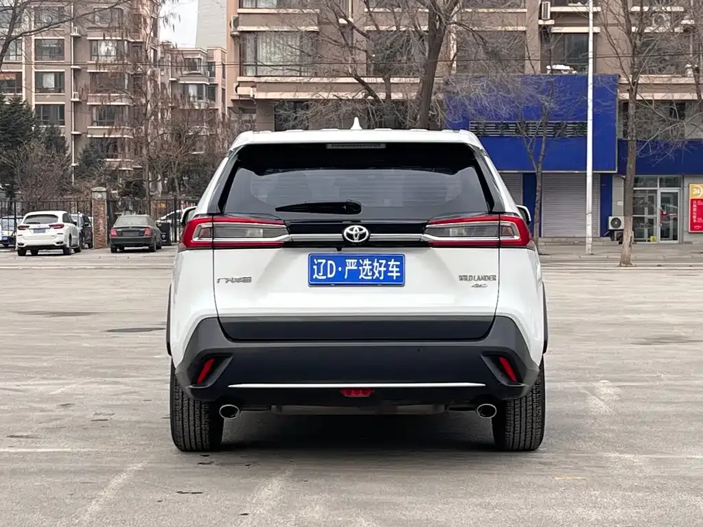 Toyota Wildlander 2021 из CN, фото 8
