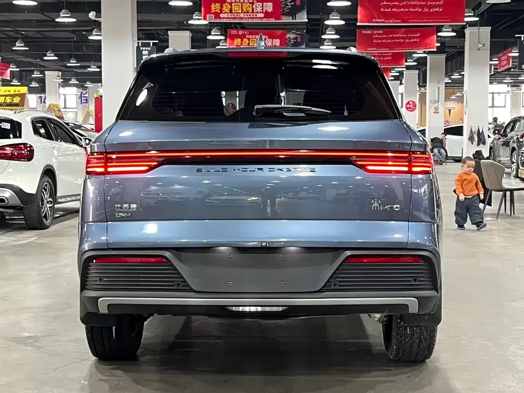 BYD Pro New Energy 2025 из CN, фото 8