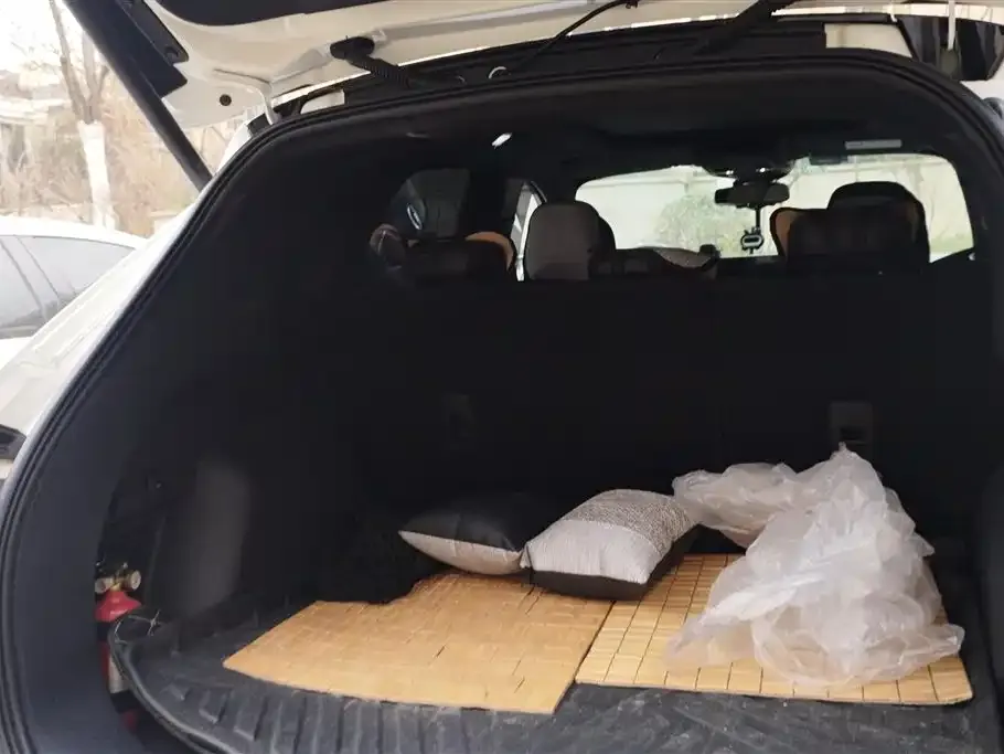 Ford Escape 2021 из CN, фото 2
